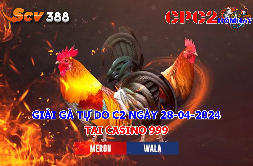 Giải Gà Tự Do C2 ngày 28-04-2024 tại Casino 999