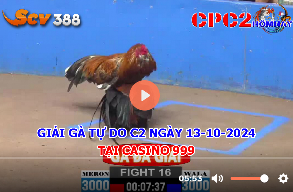 Giải Gà Tự Do C2 ngày 13-10-2024