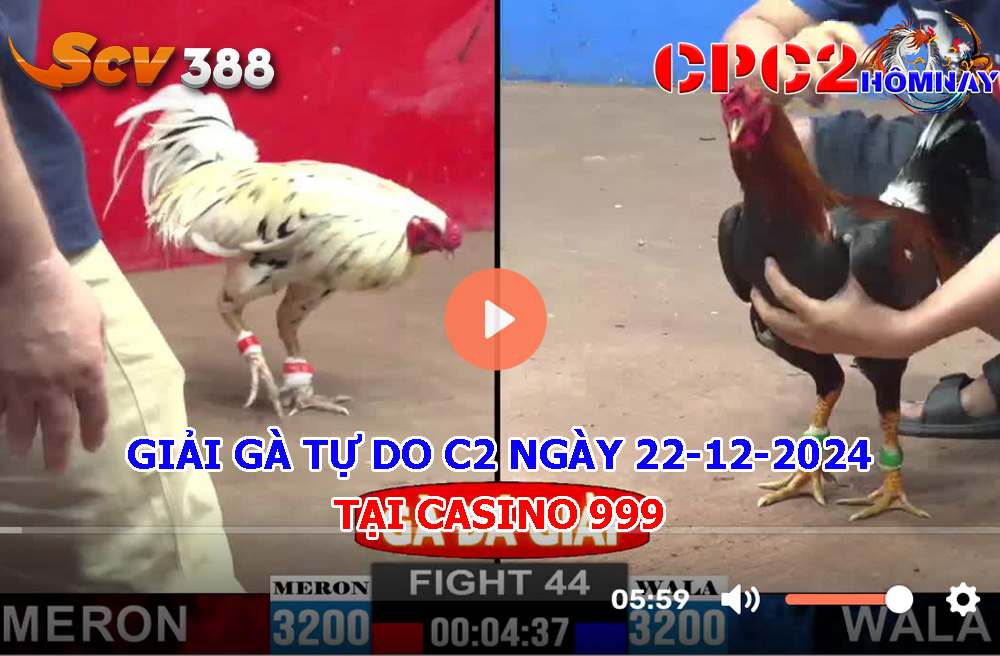 Giải Gà Tự Do C2 ngày 22-12-2024